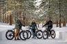 AVENTON Aventure.2 Step-Through ebike