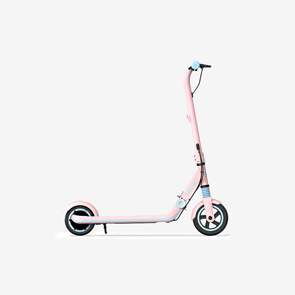 Ninebot hotsell e8 scooter